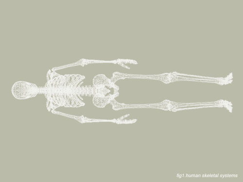 skeletal.gif